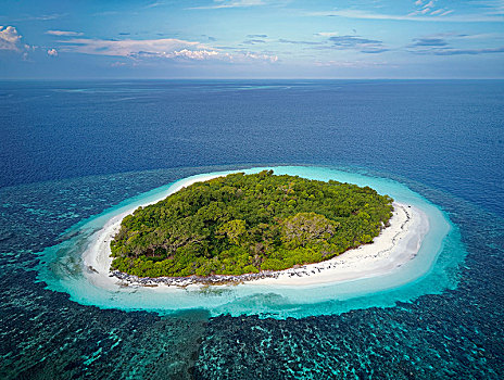无人,绿色,岛屿,灌木丛,沙滩,外滨,珊瑚礁,阿里环礁,印度洋,马尔代夫,亚洲