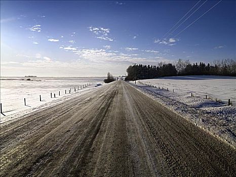 雪路,冬天,艾伯塔省,加拿大