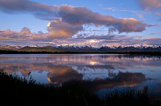 美国,阿拉斯加,德纳里峰国家公园,阿拉斯加山脉,反射,水塘,山,麦金利山,云
