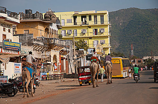 男人,骑,骆驼,室外,城镇,普什卡,拉贾斯坦邦,印度