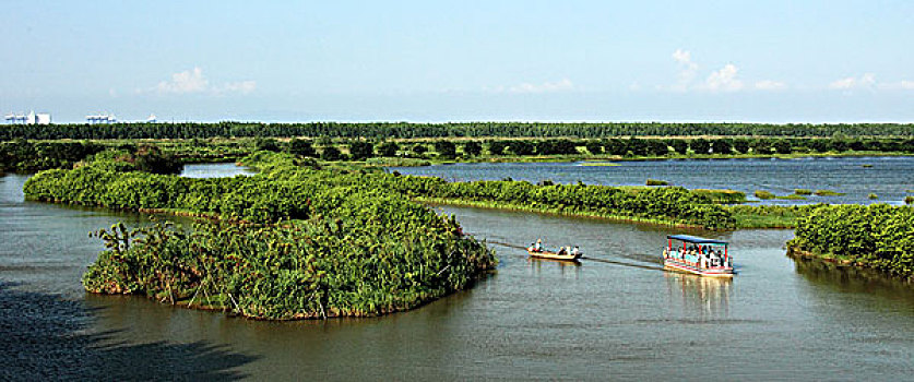 南沙湿地公园