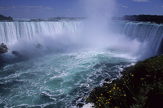 加拿大,安大略省,尼亚加拉河,尼亚加拉瀑布,马蹄铁瀑布,花,前景