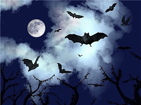 蝙蝠,飞,万圣节,夜晚