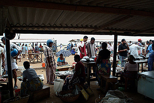 特色,零售,鱼市,海洋,海滩,斯里兰卡,七月,2005年
