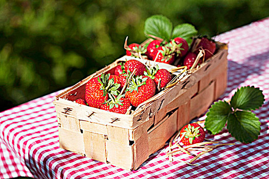 草莓,木质,篮子,花园桌