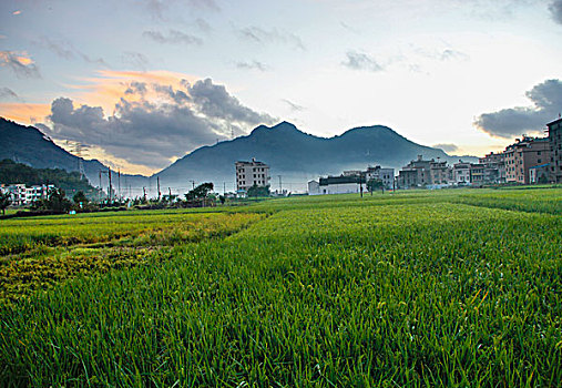 田园山村