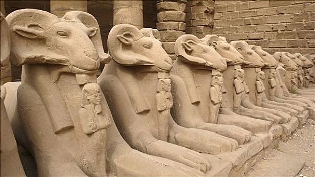 雕塑,狮身人面像,卡尔纳克神庙,路克索神庙,尼罗河流域,埃及,非洲