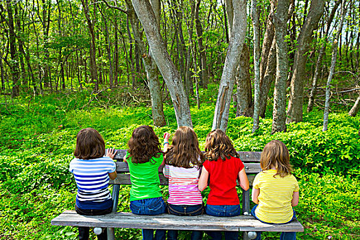 孩子,姐妹,朋友,女孩,坐,公园长椅,看,树林,后视图