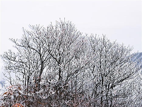 八闽第一峰-建宁金铙山雪景