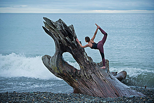 成年,女人,练习,瑜伽姿势,大,浮木,树干,海滩