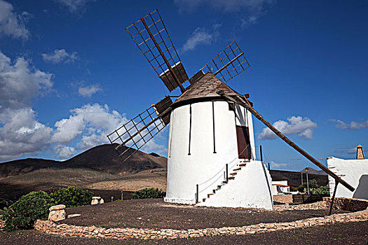 风车,博物馆,富埃特文图拉岛,加纳利群岛,西班牙,欧洲