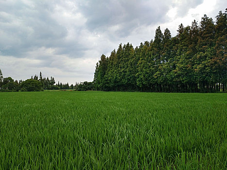 田园风光,乡野美景