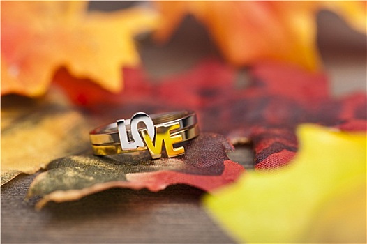 爱情,戒指
