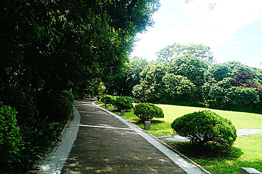 公园绿色植物树木草坪景观