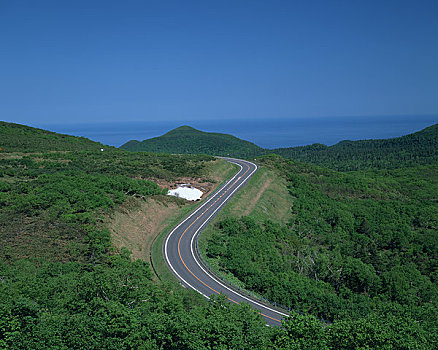 道路