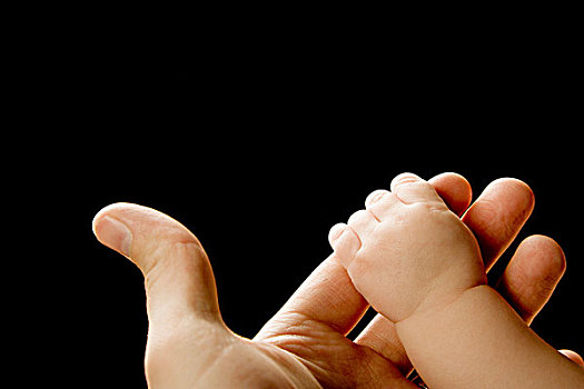 婴儿,手,抓,成年,手指