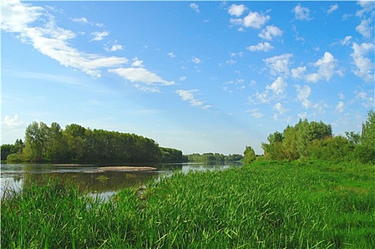 漂亮,夏天,风景