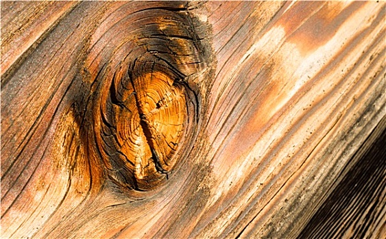 木材,节瘤,木头,木板,微距,烧,钉子
