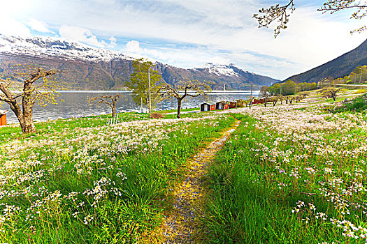 漂亮,花园,挪威