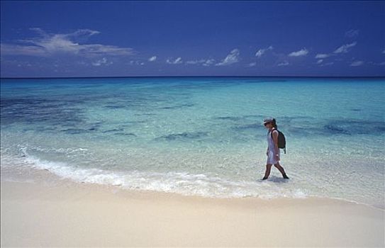 女人,漫步,海滩,北方,巴哈马