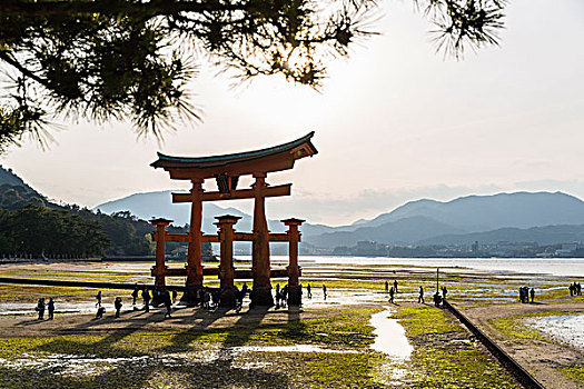 人,鸟居,海中,退潮,严岛神社,神社,世界遗产,岛屿,宫岛,区域,广岛,本州,日本