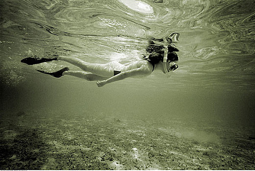 女孩,潜水,马尔代夫,印度洋
