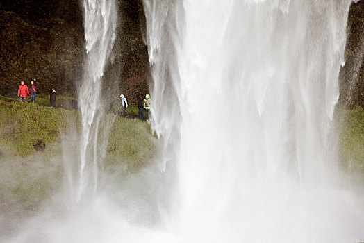 瀑布,人,后面,河,南,冰岛