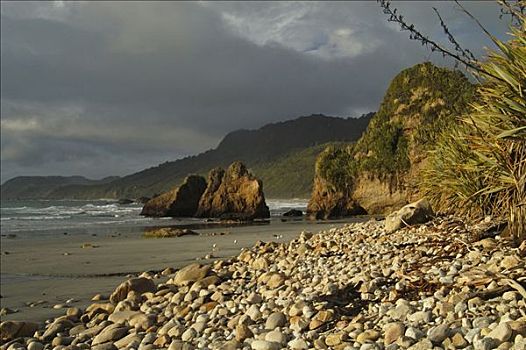 岩石,海岸线,国家公园,新西兰