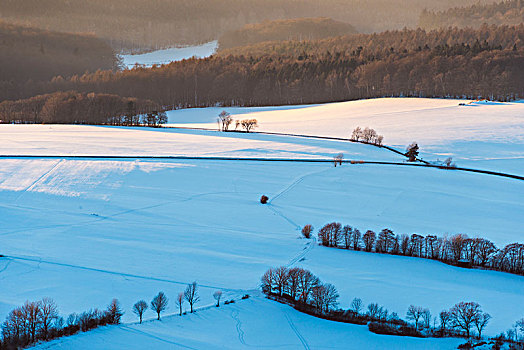 冬季风景,山,黑森州,德国