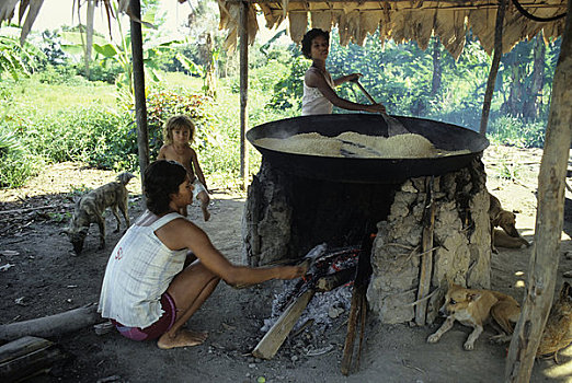 巴西,亚马逊河,本地居民,烤制,木薯粉