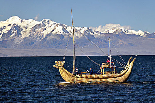 特色,芦苇,船,靠近,太阳,岛屿,提提卡卡湖,省,玻利维亚,南美