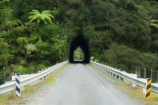道路,隧道,国王,北岛,新西兰