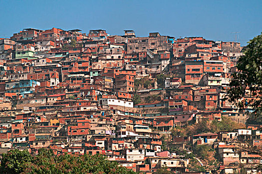 村镇,贫民窟,加拉加斯,山坡,委内瑞拉,大幅,尺寸