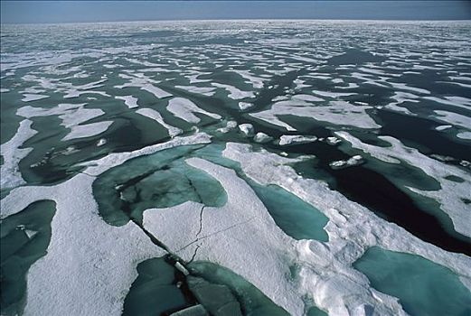 坚实,浮冰,表面,北冰洋