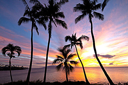 日落,湾,毛伊岛,夏威夷