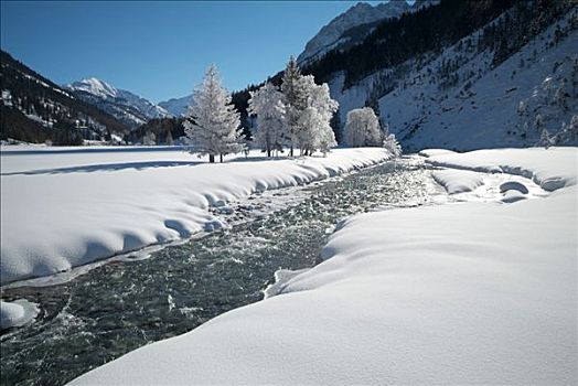 冬季风景,河,积雪,地点,树,高山,山谷,奥地利