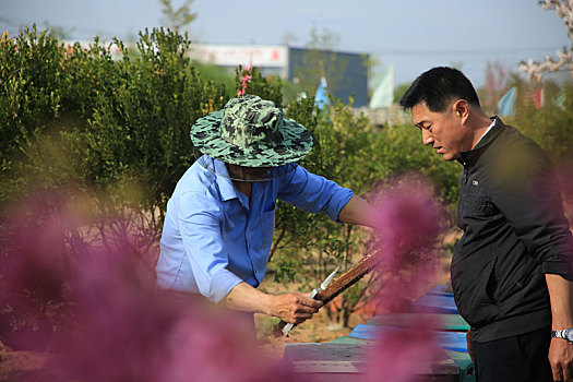 山东省日照市,为了一个共同爱好,哥俩和小蜜蜂一起追赶春天