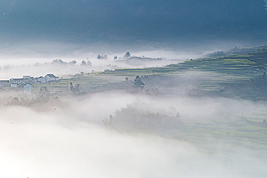 云海,梯田,氤氲,朦胧,诗画,梦乡