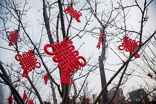 户外树枝上悬挂的红色中国结