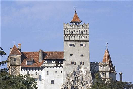 麸,城堡,喀尔巴阡山脉地区,罗马尼亚