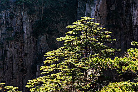 黄山风光