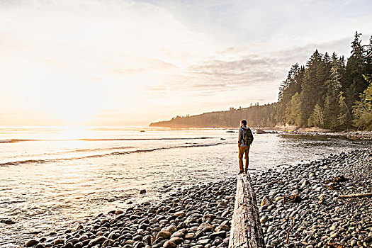 男人,向外看,浮木,原木,海滩,胡安德富卡省立公园,温哥华岛,不列颠哥伦比亚省,加拿大
