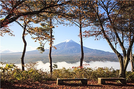 山,富士山,秋色,日本