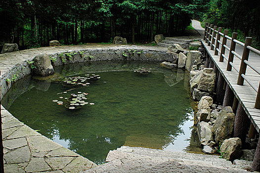 天目山-半月池