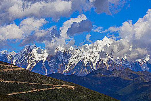 西藏高山峡谷树林