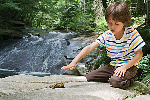 男孩,跪着,岩石上,看,青蛙