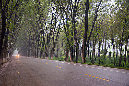 空旷的郊区公路