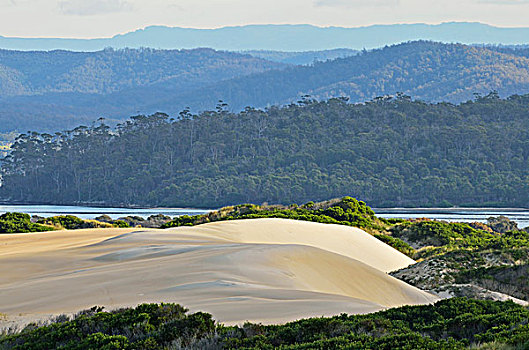 沙丘,保护区,塔斯马尼亚,澳大利亚