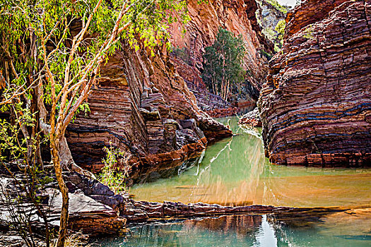 峡谷,西澳大利亚州,澳大利亚