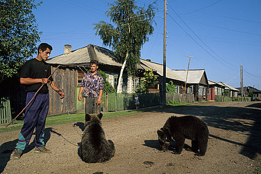 俄罗斯,西伯利亚,河,男人,棕熊,幼兽